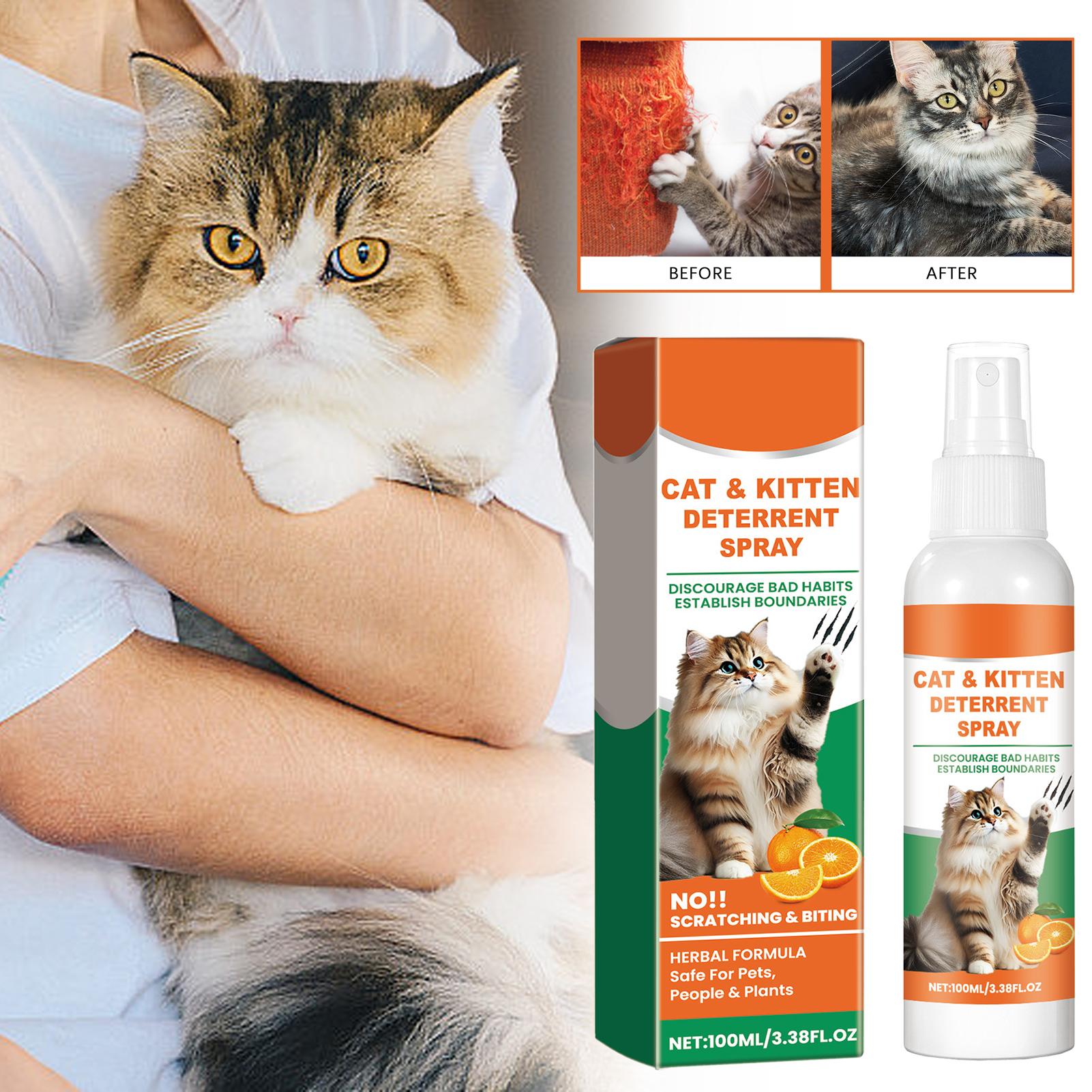Home Office With Sofa - Pet Anti Scratch Spray Restricted Area