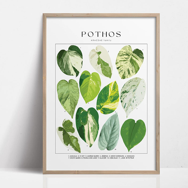 1pc Modern Houseplants Leaves  - Home Office Youtube incelemesi ve fiyatı