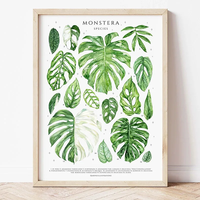 1pc Modern Houseplants Leaves  - Home Office Youtube incelemesi ve fiyatı