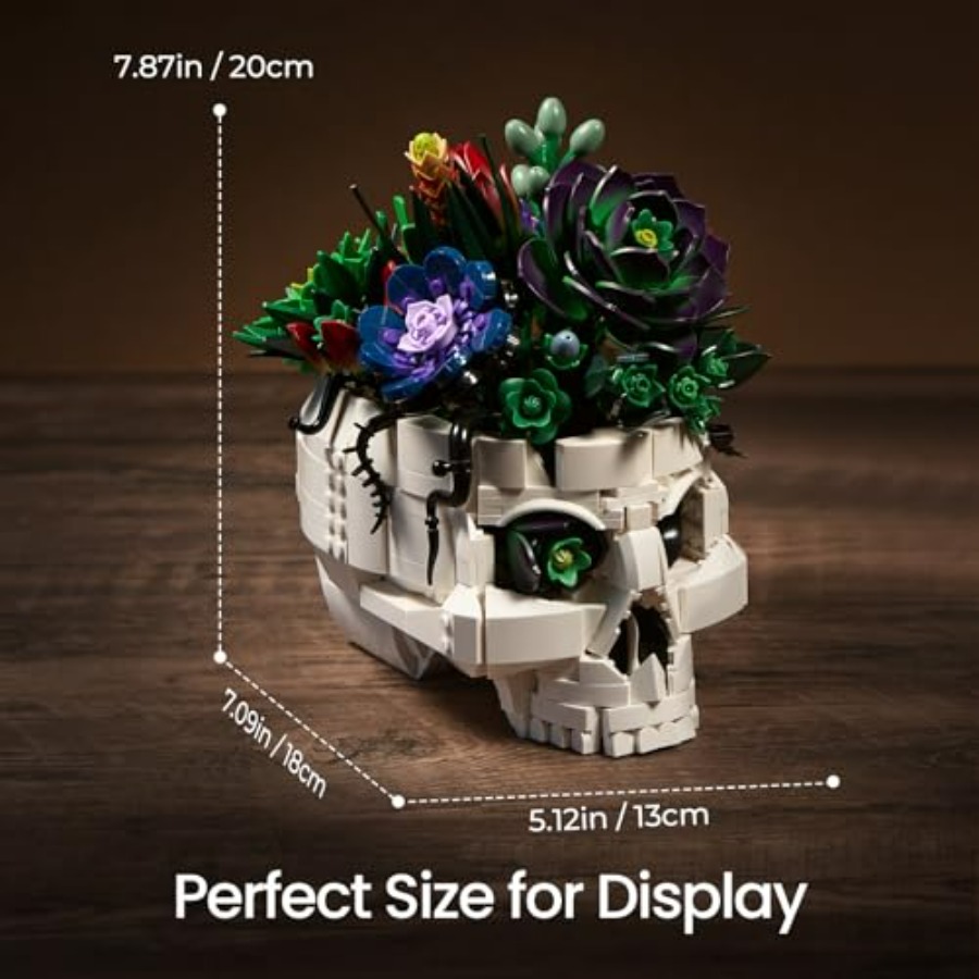 Succulent Skull Planter Buildi - Home Office Depot incelemesi ve fiyatı