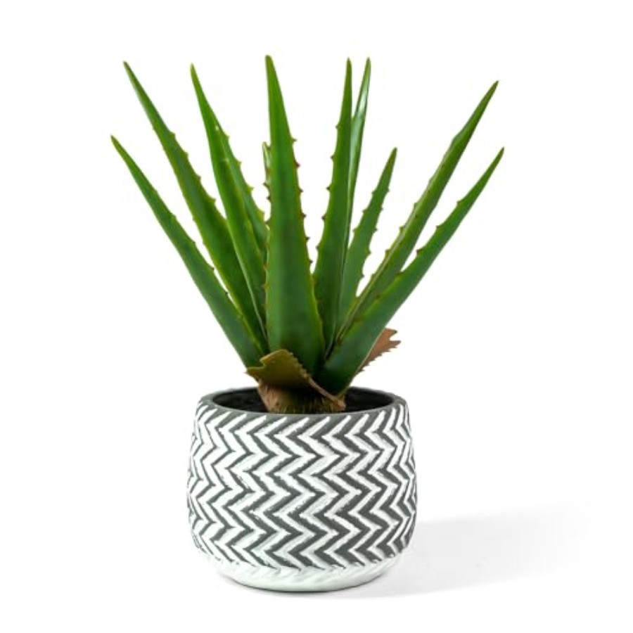 12 Artificial Aloe Vera Potted - Home Office Depot incelemesi ve fiyatı